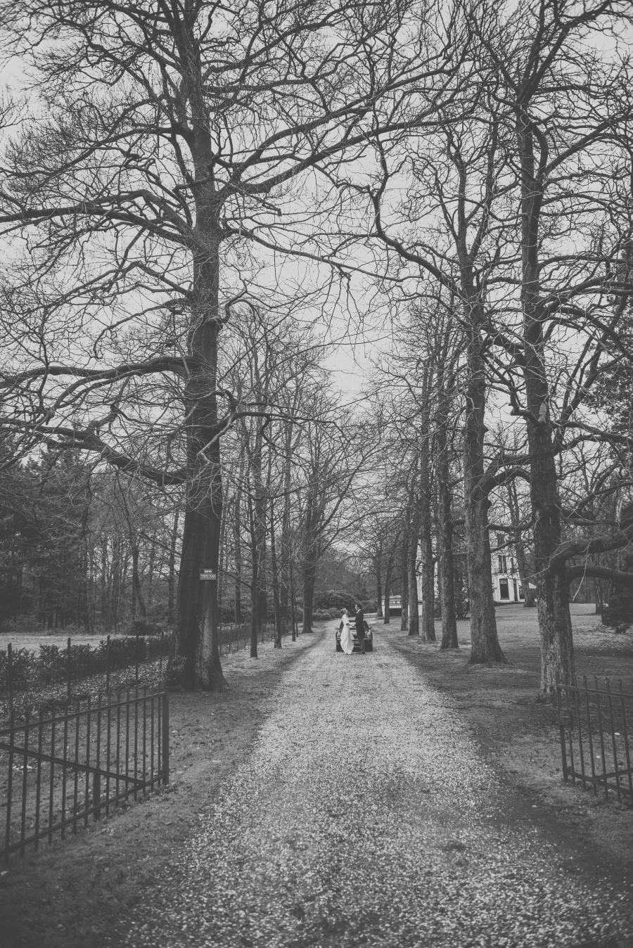 FIH Fotografie » Madeline & Hans, Driebergen